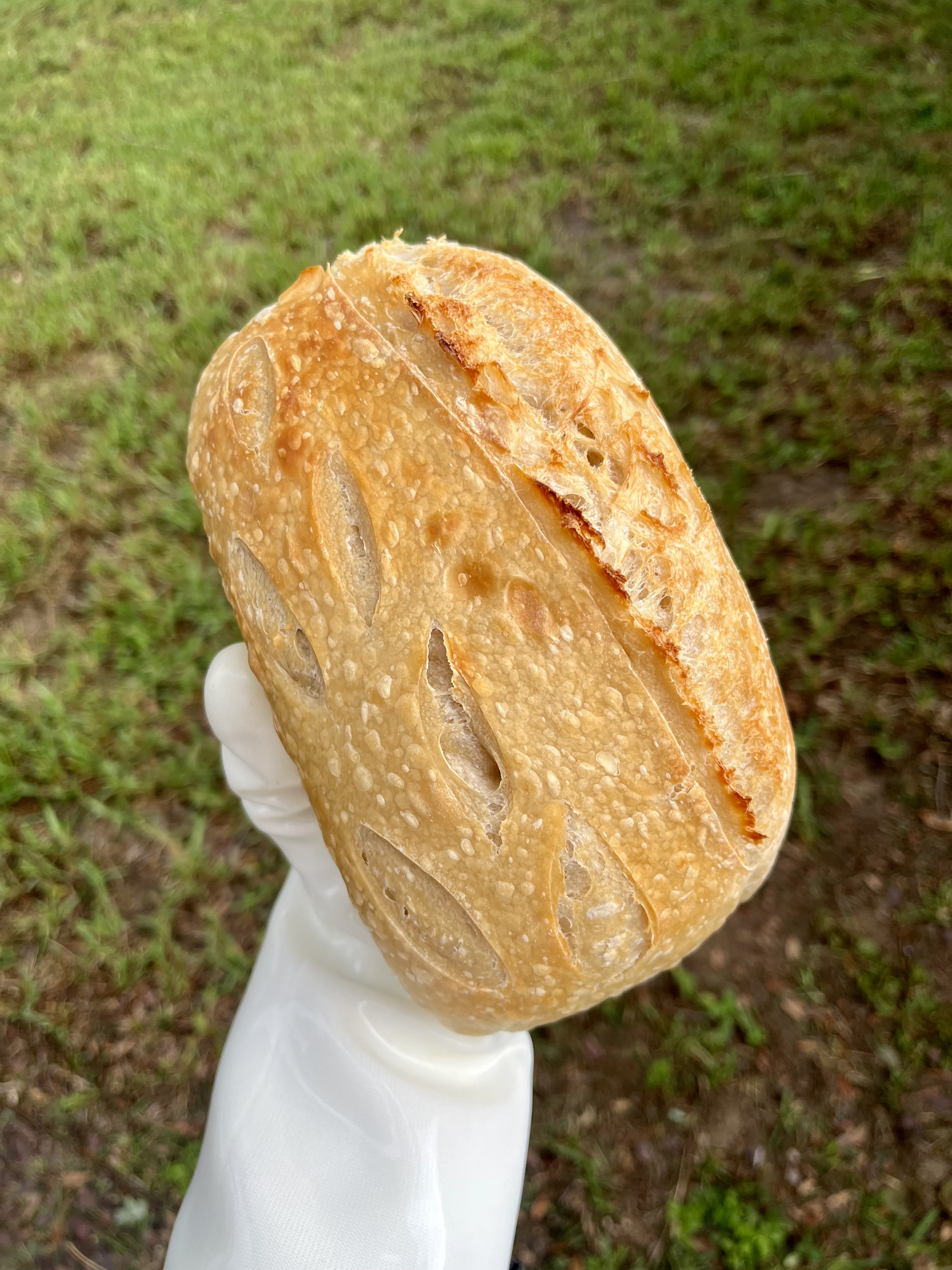 The Golden Loaf Home Bakery | Sourdough & Sweets