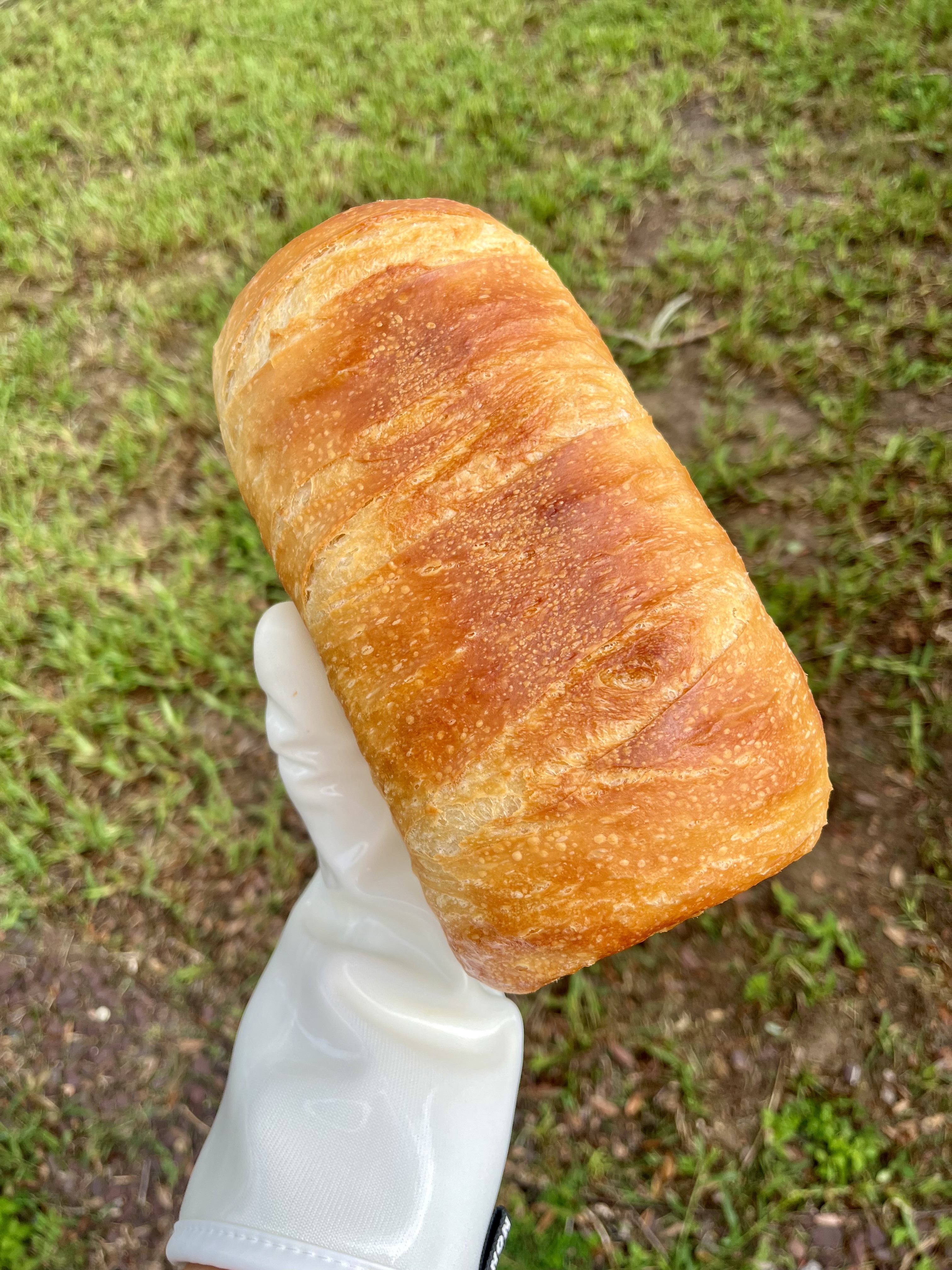 The Golden Loaf Home Bakery | Sourdough & Sweets