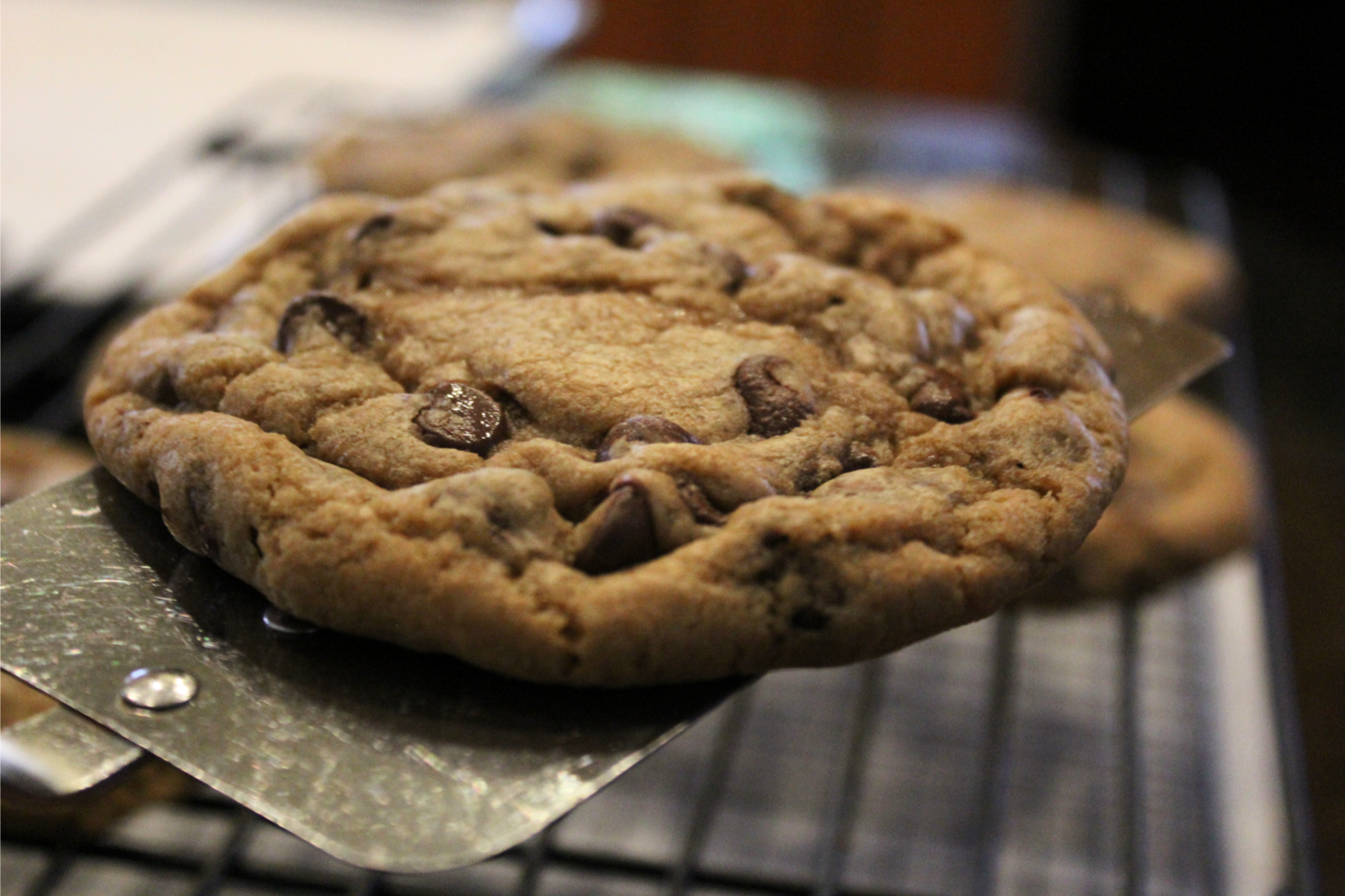 Jojo's Dough!