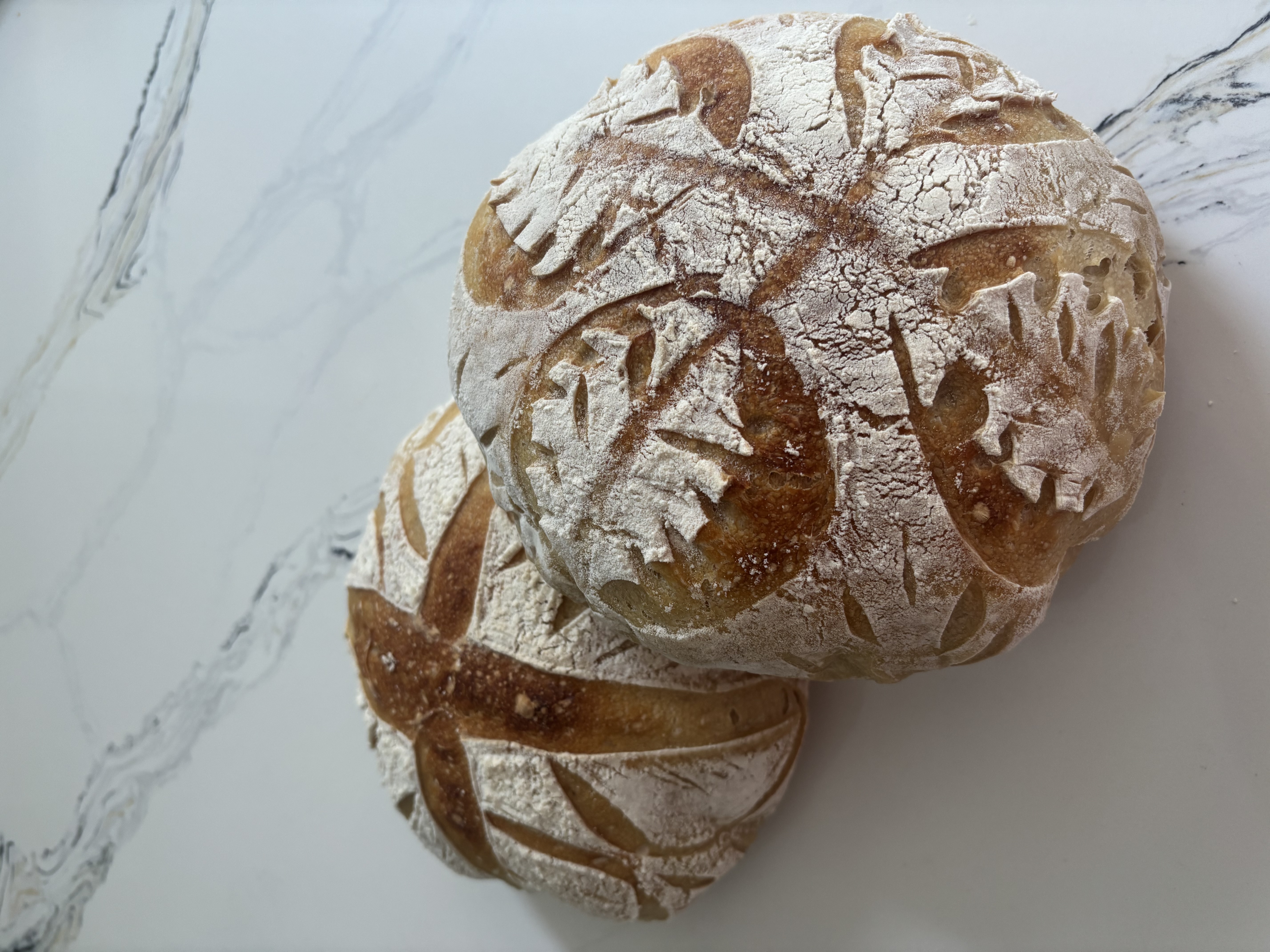 Whipp Road Sourdough