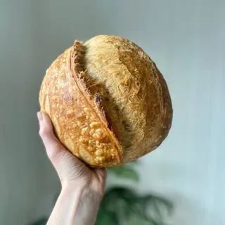 Blistered Loaf Bakehouse • Megan Standafer, RDN logo